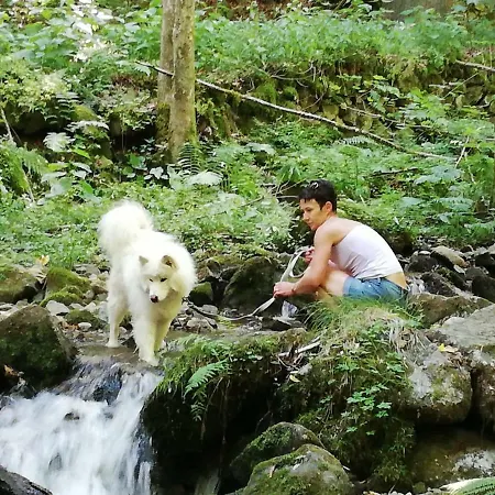 Aux Roches Des Fees *